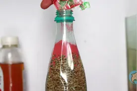 自制中药卡麦钓鱼法，用了一段时间，钓上的都是大板鲫