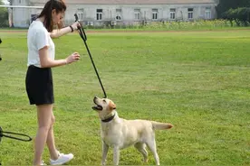 《警花与警犬》于和伟侯梦莎互看不上“倍儿爽”图片