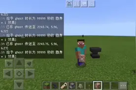 【花种子】我的世界命令方块：教你制作可怕的鬼魂