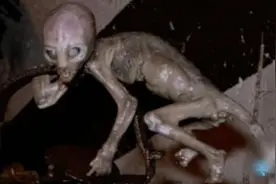 男子仓库放老鼠夹 竟夹住恐怖尸体图片