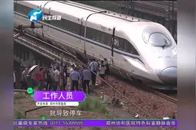 突降大暴雨 高铁急停运