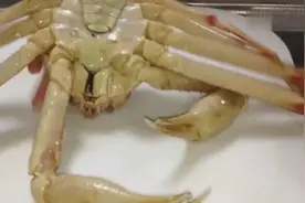 一只松叶蟹会有这么大吧，看看日本大厨怎么处理视频封面