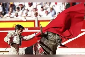 斗牛士被公牛角直穿心脏而亡，这种活动的意义到底是什么！图片
