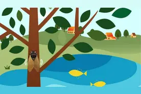 知了的一生：给了你童年 你却吃了我整个夏天图片