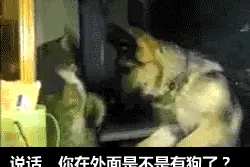 这就是男人结婚后的日常，突然觉得单身也挺好图片