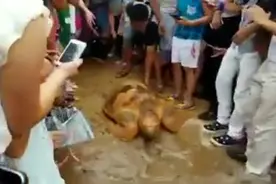 村民集体在海边放生超大海龟，千年王八万年龟谁知道这是什么品种