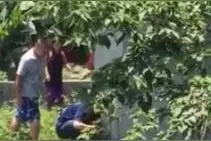 可怜的狗狗掉进水沟，一直汪汪叫，这个男的看不下去了图片