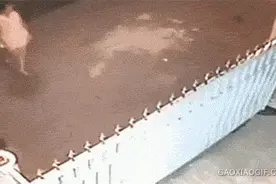 熊孩子调皮爆蛋，鸣哇好疼！图片