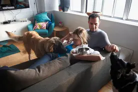 粑粑麻麻和狗狗能共享的10种食物图片