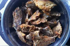 小杂鱼连连中，正好烧一锅豆鼓鱼图片