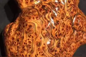 原来这样的崖柏最具收藏价值呀！图片