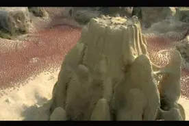 百万蚂蚁军团上演史诗级攻城大战！场面震撼堪比魔戒视频封面