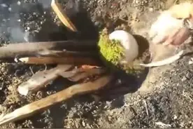 男子在野外捡到鸵鸟蛋，没有锅他也有办法吃，真是大开眼界！图片