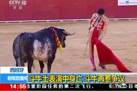 西班牙 斗牛士表演中身亡 斗牛再惹争议视频封面