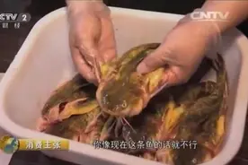 舌尖上的长沙：这个老板拿黄鸭叫来烧烤图片