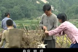 全村开始大办食堂，家里粮食一粒不留，都交给公社了视频封面