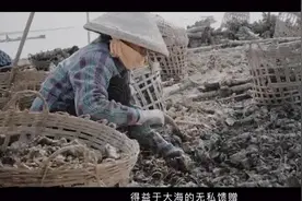 北海烧烤摊上的生蚝有着不为人知的秘密，你知道吗？视频封面