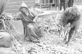 安庆日报： 主簿村干开展自救图片