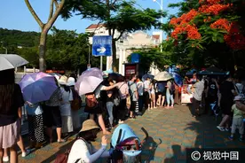 福建：厦门大学校花“凤凰花”盛开，引游客顶烈日排长龙观赏图片