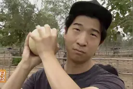 鸵鸟蛋的壳到底有多硬？居然得用菜刀，才能切开！