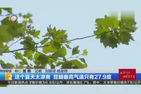 这个夏天太凉爽 昆明最高气温只有27.9度视频封面