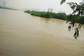 黄河进入主汛期兰州段水位上升图片