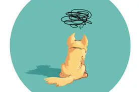 太平洋有座小岛，单身的你千万不！要！去！图片