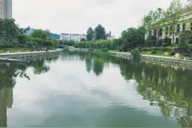 20年前的“草鱼宴”回来了图片
