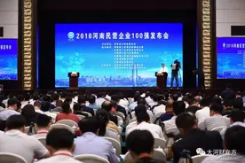刚刚！河南民营企业100强出炉（名单）图片
