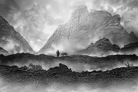 当我大放悲声，万物都告凋零图片