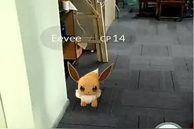 Pokemon GO今日曾短暂解锁，旋又封禁图片