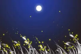 爱情丨测你的结婚年龄图片