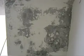 如何解决恼人的壁癌图片