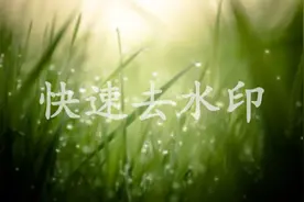 五分钟学会如何用Photoshop快速去除照片水印