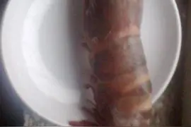 1斤半的基围虾你见过吗，比菜刀还大，吃一只就够了图片