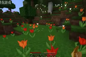 《我的世界》五颜六色的花朵 给家园带来不一样的色彩