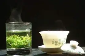 苦丁茶，也许真的不适合你？图片