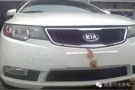 ⑨妹撩车 | 四川人给车牌贴鸡毛，原来是因为这样图片