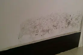墙壁发霉脏了常见的处理办法介绍图片
