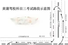学驾照的看过来!交警支招孝感科三路考全攻略，附长兴路考试地图图片