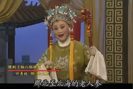 豫剧-马金凤弟子许青枝-杨八姐游春风雪配 洛阳豫剧团视频封面