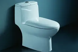 对门小情侣太能折腾，马桶盖换了3个全坏了！图片