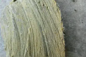 海边度假，发现一根坏木头，谁料想竟是“稀世宝贝”！图片