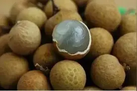 你真的以为龙眼只是好吃 它还被称为“南国人参”呢！图片