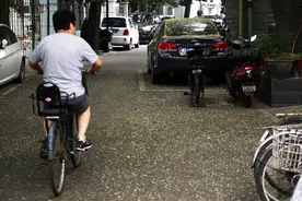京城槐雨 七月落英 北京胡同现槐花雨图片