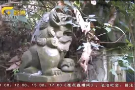 重庆：小区里有活人墓？主管部门介入调查视频封面