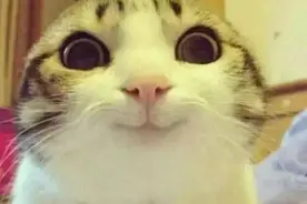 给你一组户外表情包，憋住不许笑！图片