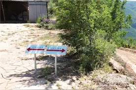 三八妇乐获“直销经营许可证” 成陕西首家直销企业图片