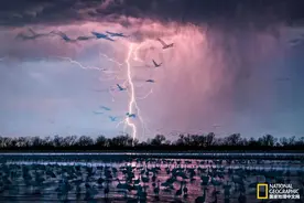 美呆！摄影师讲述如何拍到这张罕见的闪电摄影作品图片