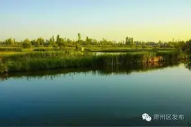 速递 ▏未来肃州区湿地开发利用的宏伟蓝图在这里，一起来看看吧！图片